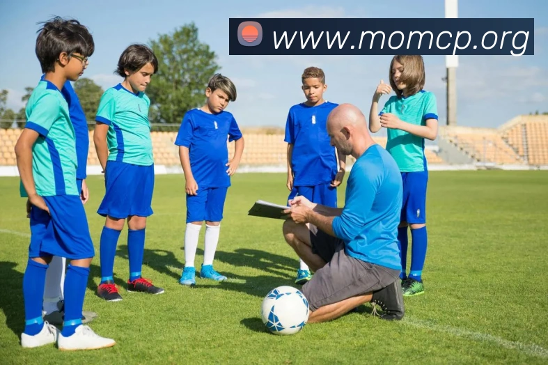 互动解说服务